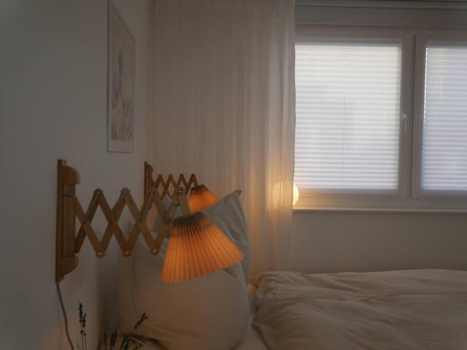 Moderne Studio Ferienwohnung In Bad Doberan Exteriör bild